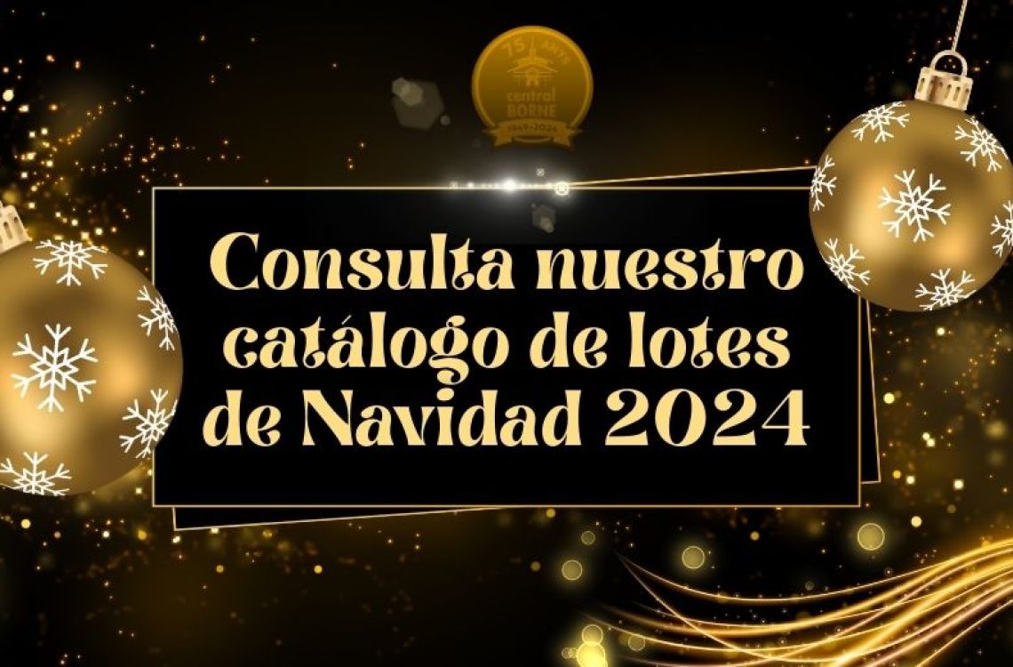Lotes_Navidad