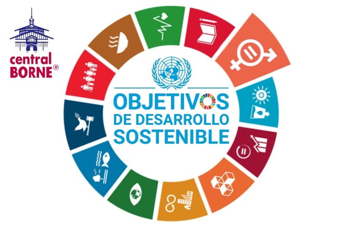 Objetivos