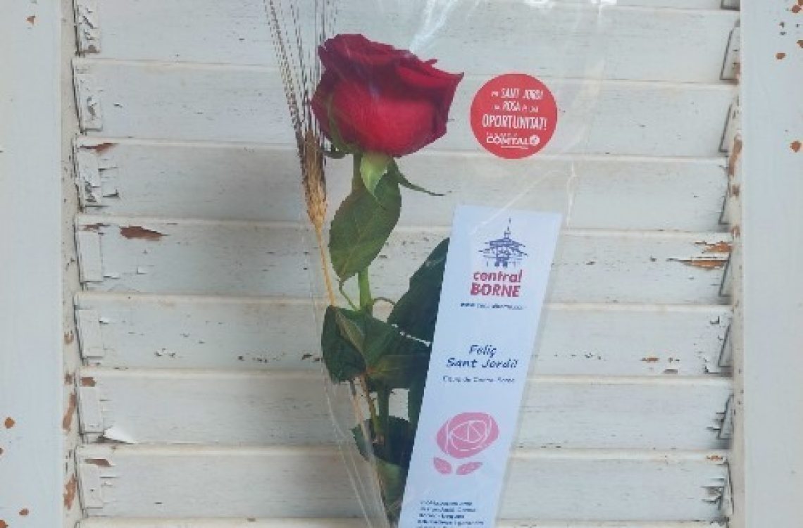 rosa